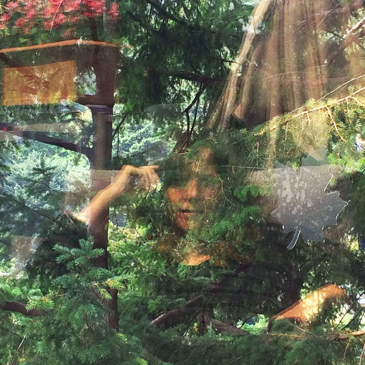 Jennifer Castle - Angels of Death LP