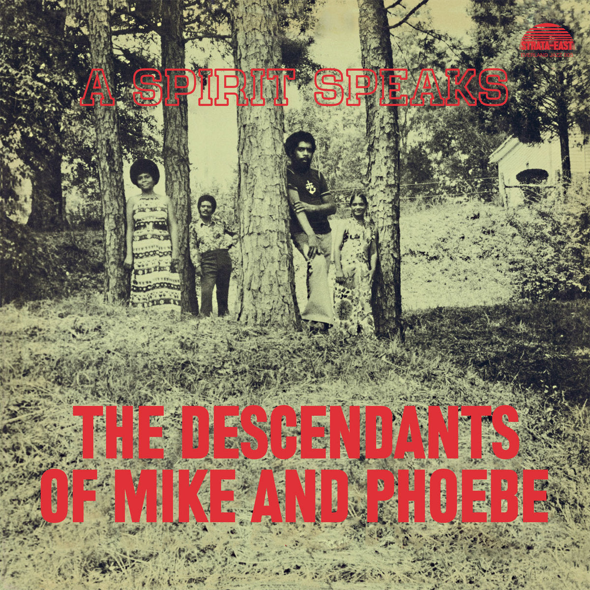 The Descendants of Mike and Phoebe - A Spirit Speaks LP