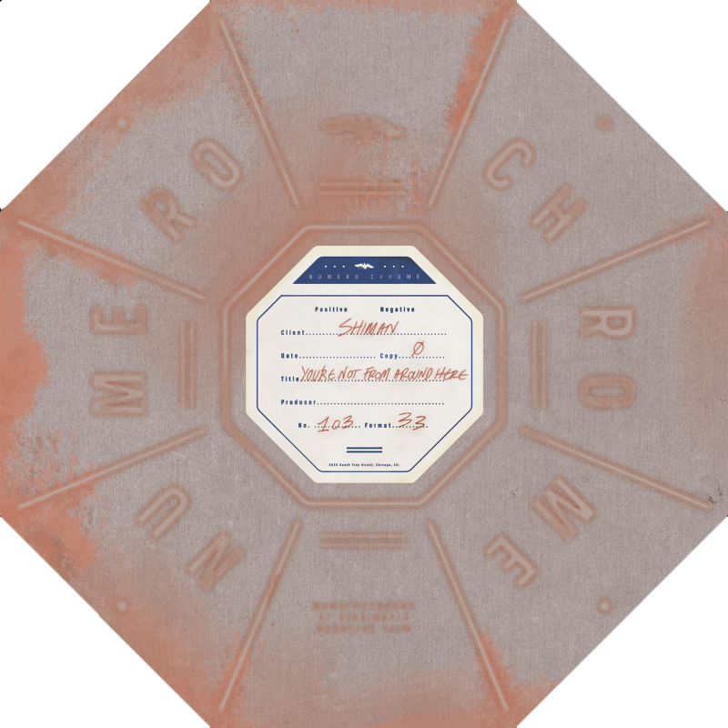 Various - You're Not From Around Here LP