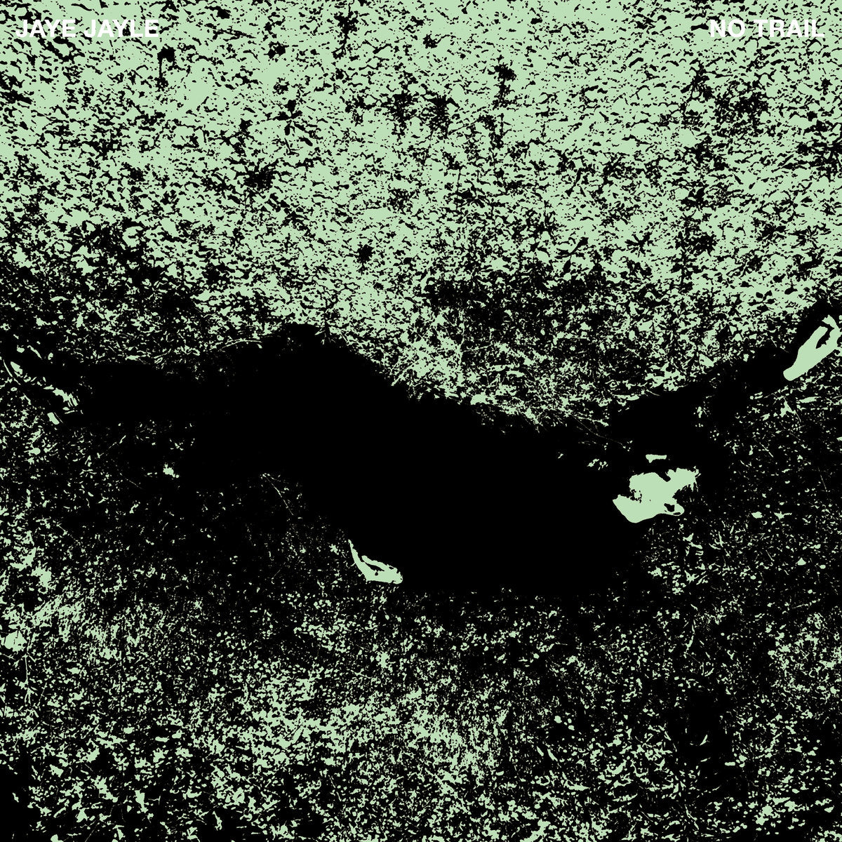 Jaye Jayle - No Trail and Other Unholy Paths LP