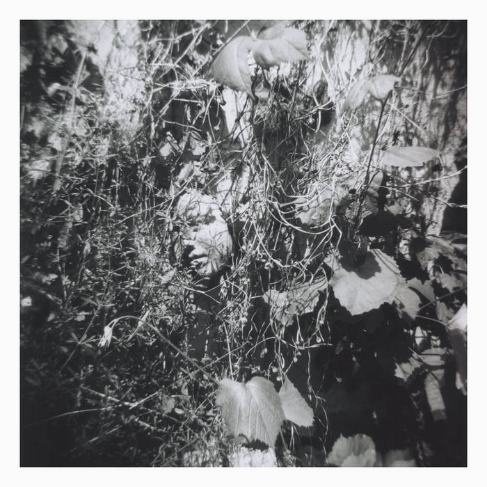 Tim Mislock - Now Is The Last Best Time LP