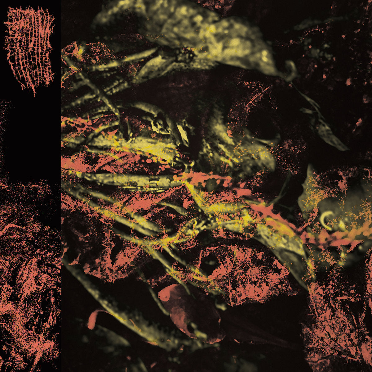 Hissing - Permanent Destitution LP