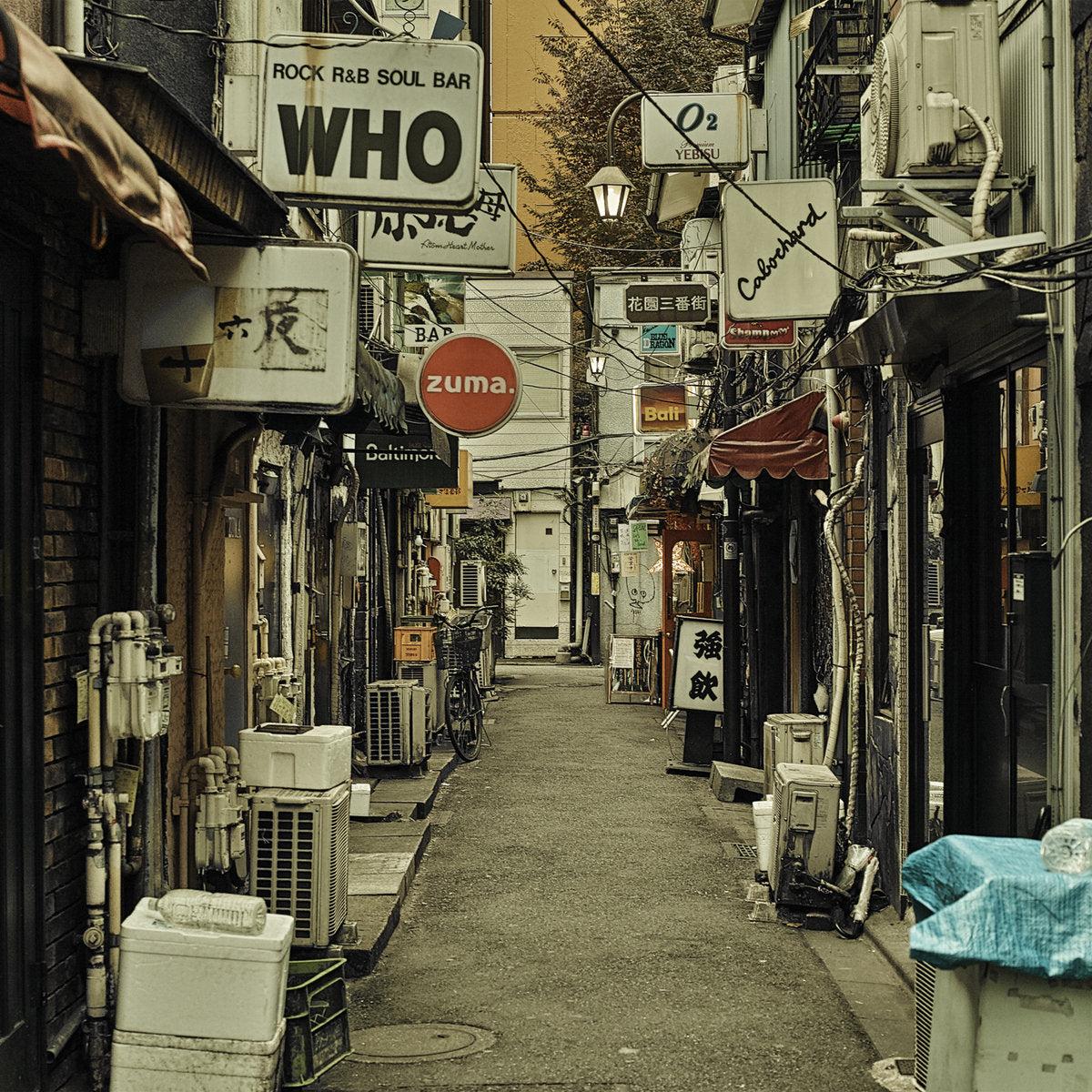 Akira Sakata & Chikamorachi with Masahiko Satoh - Proton Pump LP