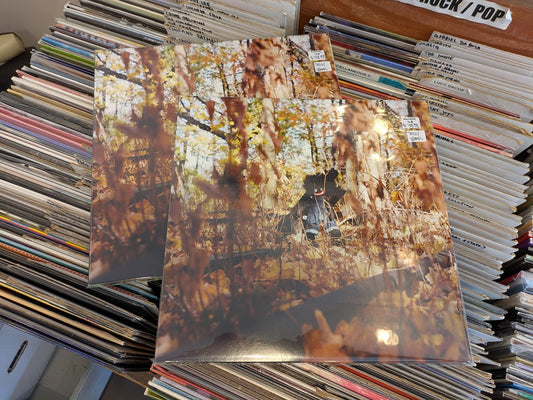 New BILLY WOODS 2LP Coming!