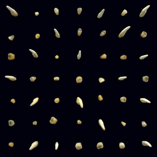 clipping Video