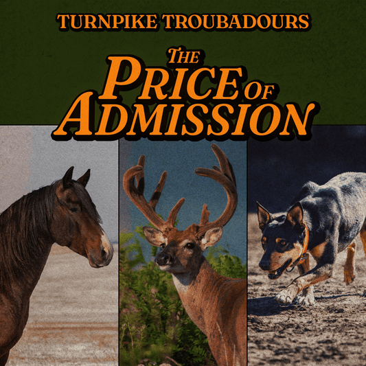 Turnpike Troubadours - The Price of Admission LP