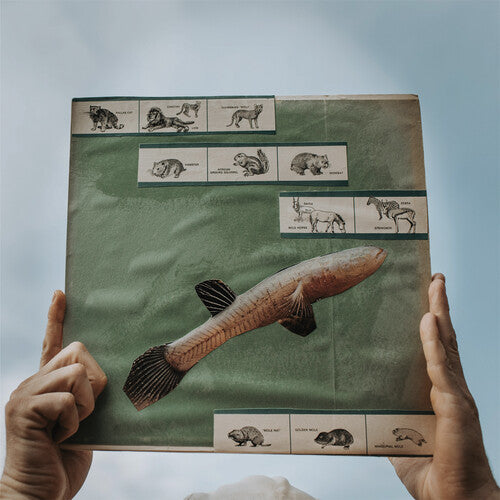 Cotton Jones - The River Strumming LP