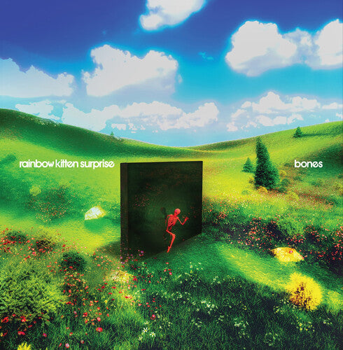 Rainbow Kitten Surprise - bones LP