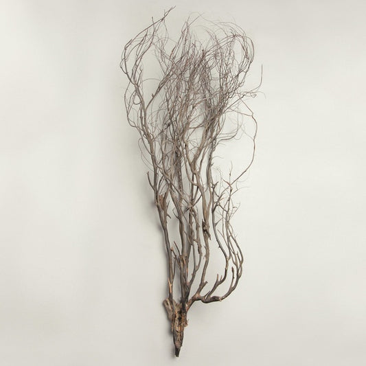 Mary Jane Leach - Woodwind Multiples LP