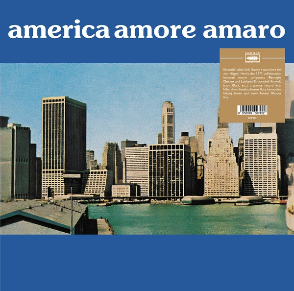 Remigio Ducros & Luciano Simoncini - America Amore Amaro LP