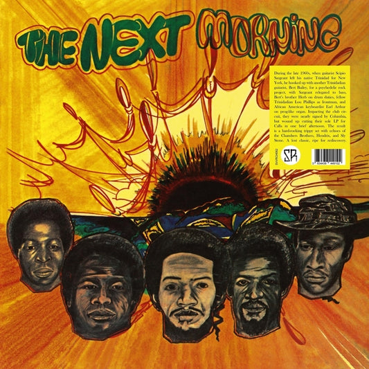 The Next Morning - The Next Morning LP