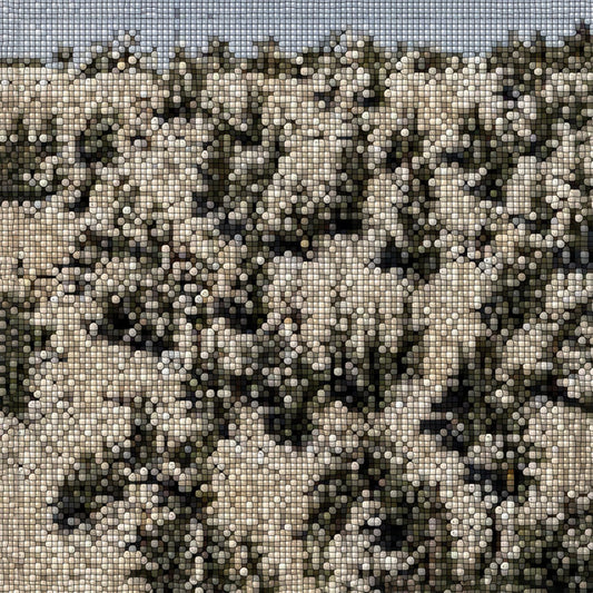 Gregory Uhlmann - Extra Stars LP