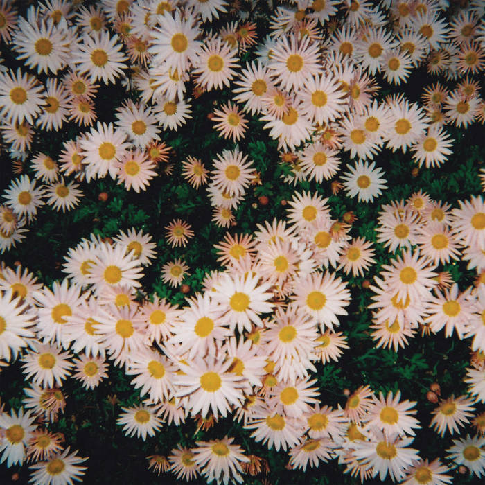 Bad Bad Hats - Bad Bad Hats LP