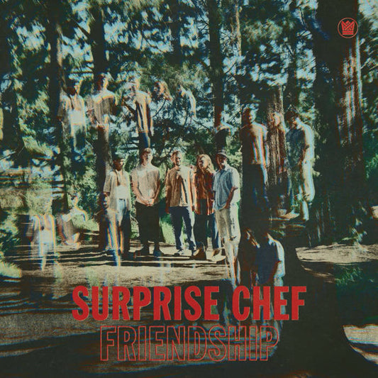 Surprise Chef - Friendship 12"
