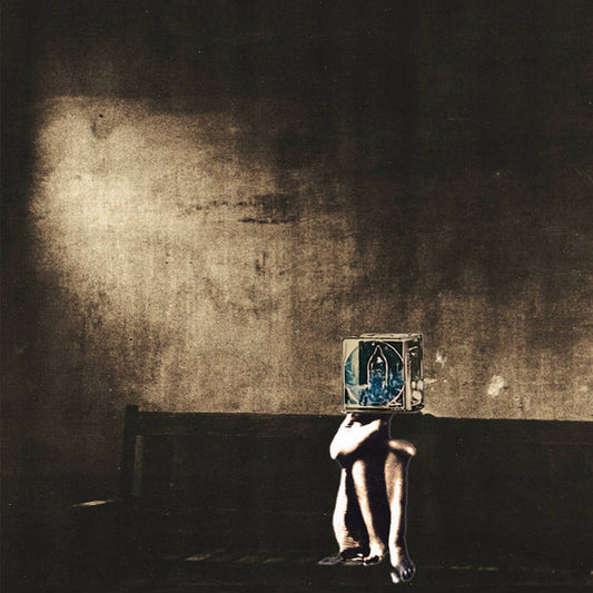 The Polyphonic Spree - Salvage Enterprise LP