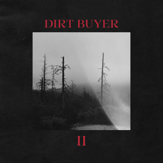 Dirt Buyer - II LP