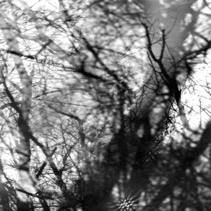 Grouper - Way Their Crept LP