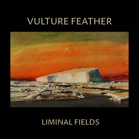 Vulture Feather - Liminal Fields LP