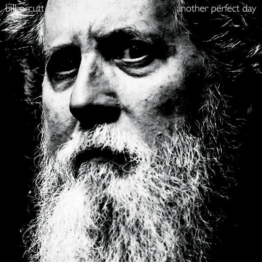 Bill Orcutt - Another Perfect Day LP
