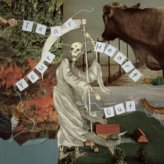 villagerrr - Tear Your Heart Out LP + Flexi