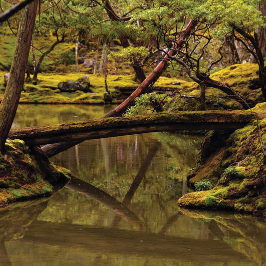 Rebecca Foon & Aliayta Foon-Dancoes - Reverie LP