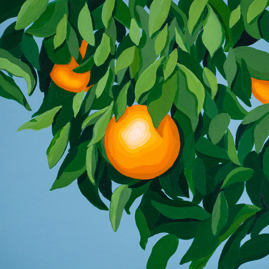 Tyler Ballgame - For The First Time Again LP