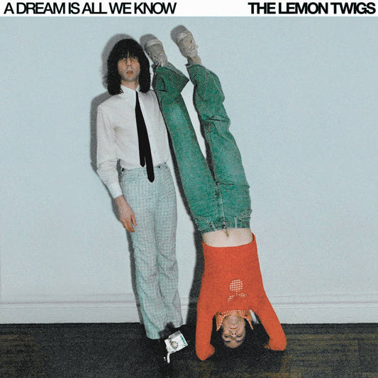 The Lemon Twigs - A Dream Is All We Know LP [PRE-ORDER]