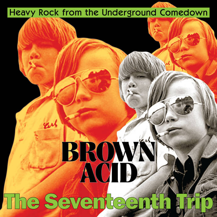 Various - Brown Acid: The Seventeenth Trip LP