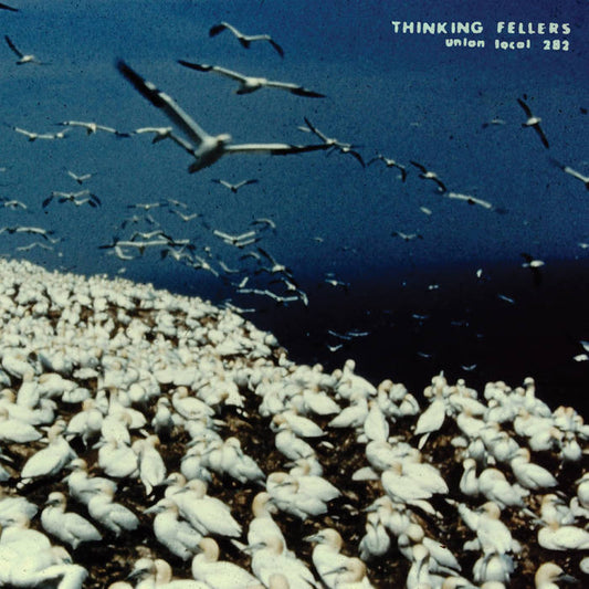 Thinking Feller Union Local 282 - These Things Remain Unassigned: Comp Tracks, Singles, Rarities, & Unreleased Recordings from the Archives 2LP