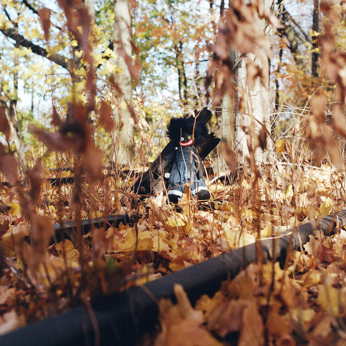 billy woods - GOLLIWOG 2LP