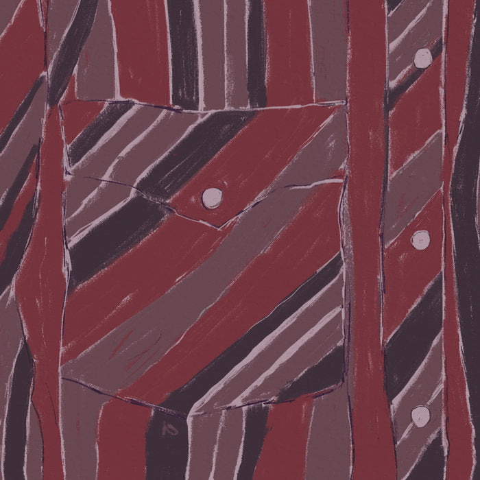 Jake Xerxes Fussell & James Elkington - Rebuilding LP