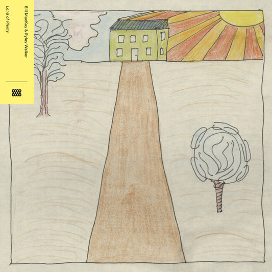 Bill MacKay & Ryley Walker - Land of Plenty LP