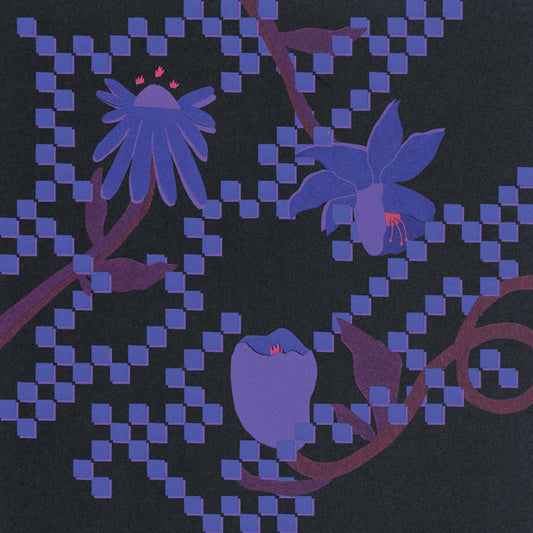 Trace Mountains - Into the Burning Blue LP