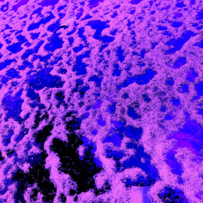 John Dwyer - Gong Splat Sessions 2LP