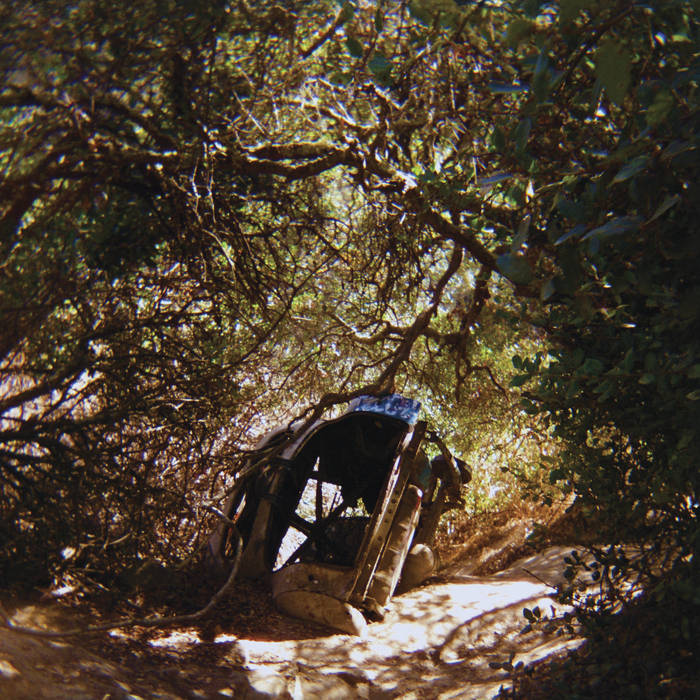 Ty Segall - Possession LP