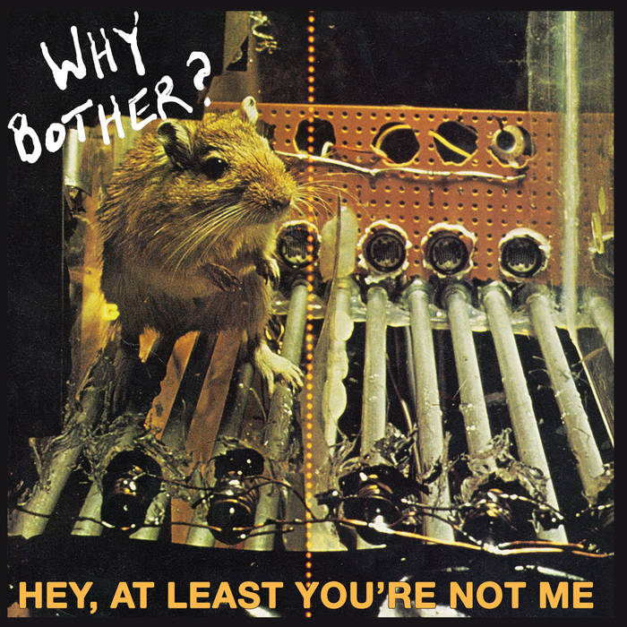 Why Bother? - Hey, At Least You're Not Me LP
