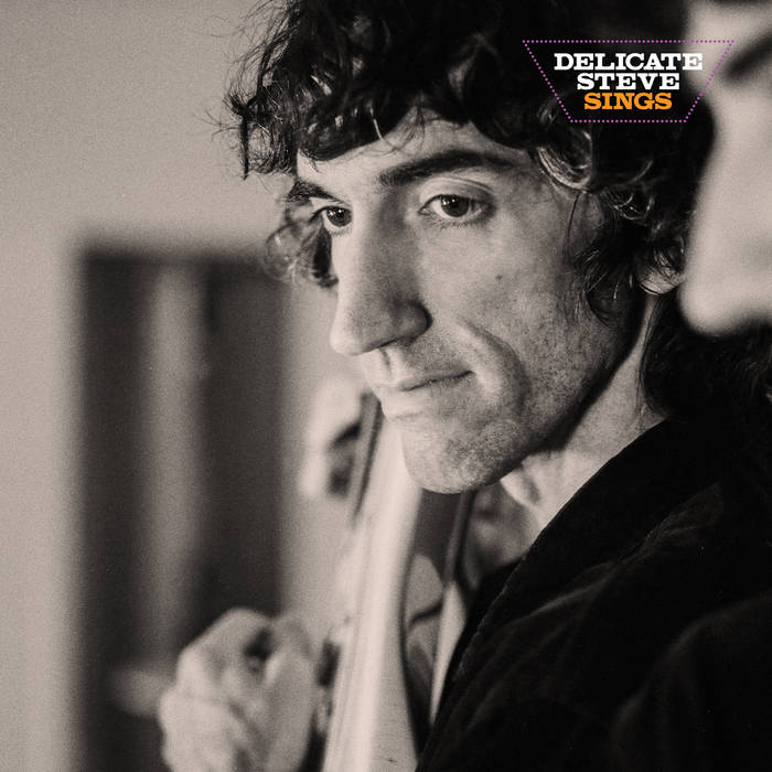 Delicate Steve - Delicate Steve Sings LP
