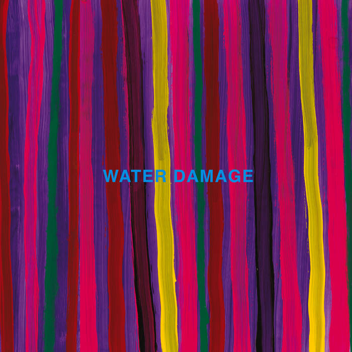 Water Damage - 2 Songs LP