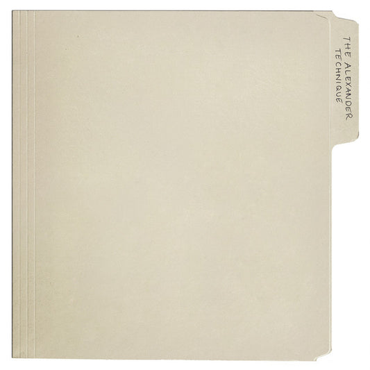 Rex Orange County - The Alexander Technique 2LP