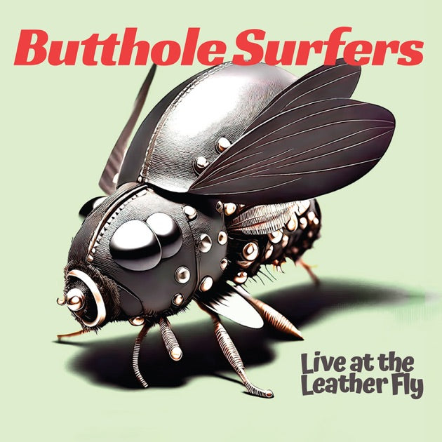 Butthole Surfers - Live at the Leather Fly 2LP