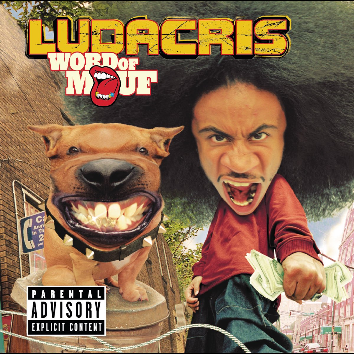 Ludacris - Word of Mouf 2LP
