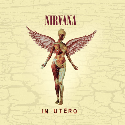 Nirvana - In Utero: 30th Anniversary LP+10"