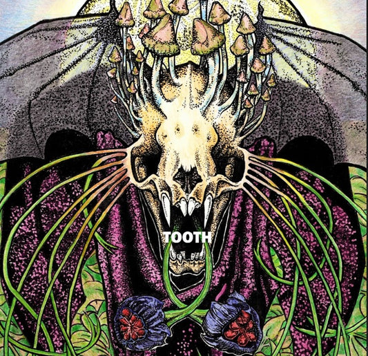 Tooth - Tooth LP