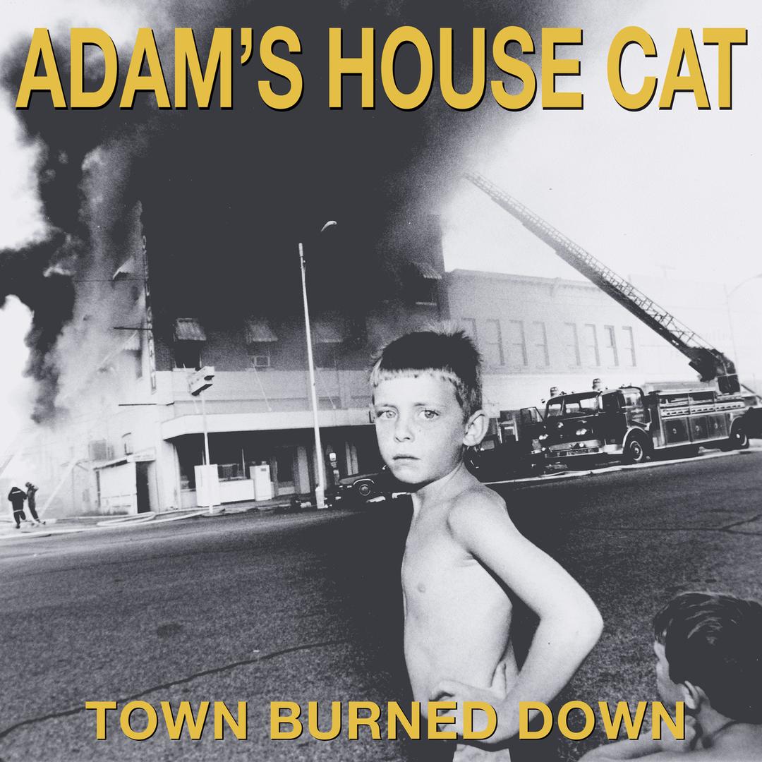 Adam's House Cat - Town Burned Down LP