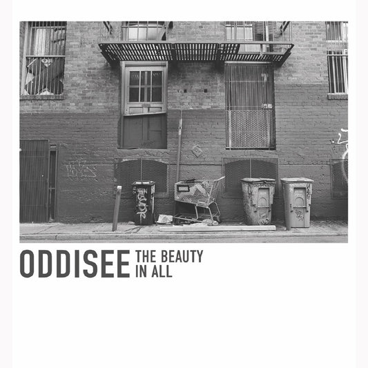 Oddisee - The Beauty in All LP