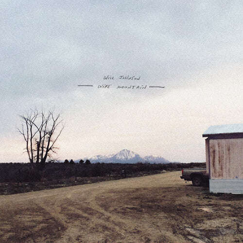Will Johnson - Wire Mountain LP