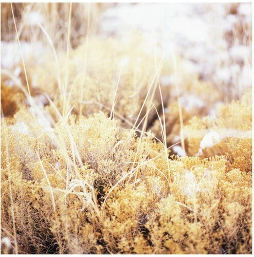 Mamiffer - The Brilliant Tabernacle LP