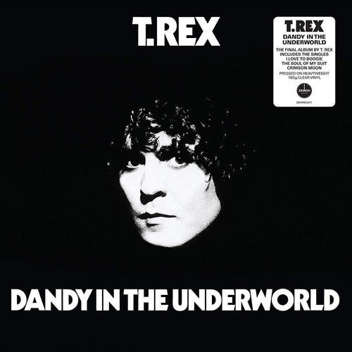 T. Rex - Dandy in the Underworld LP