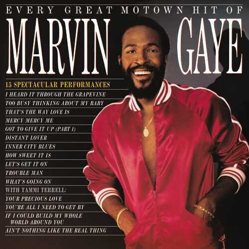 Marvin Gaye - Every Great Motown Hit of LP