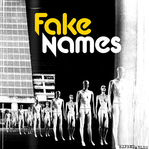 Fake Names - Expendables LP